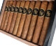 Buy Black Star Line Dark War Witch Robusto Online: