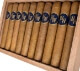 Buy Black Star Line War Witch Robusto Online: