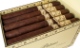 Buy Felipe Gregorio Petrus Oro Negro Sacro: "A rich maduro cigar with cedar wood, nutmeg and dark chocolate notes, slowly evolves to a smooth but rich smoke."
