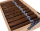 Buy Warped EL OSO CUB: rolled at El Titan de Bronze in Miami, FL featuring an Ecuadorian Habano Oscuro wrapper.