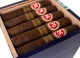 Buy PG Soiree Short Robusto Online at Small Batch Cigar