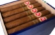 Buy PG Soiree Robusto Online at Small Batch Cigar