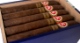 Buy PG Soiree Belicoso Online: 