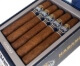 Buy Punch Knuckle Buster Gordo Online: