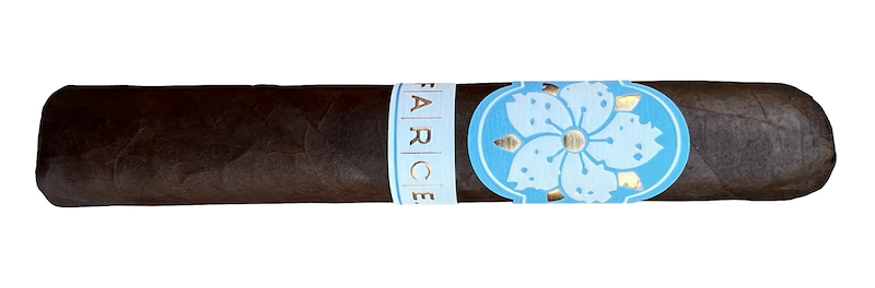 Room101 Farce Nicaragua Review