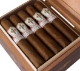 Buy St. Francis Colorado Vesper by All Saints Cigars Online: