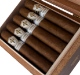 Buy Dedicación Habano Vesper by All Saints Online: