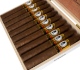 Buy Lampert The Gatsby Online: This blend from Lampert Cigars highlights Dominican and Peruvian tobacco aged from 3-5 years