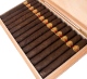 Buy Venture 1492 Gran Corona Online: