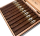 Buy Casdagli Basilica C#1 Toro Online: this mild/full bodied cigar is designed to give an initial mellow introduction by having the filler extend beyond the 2 binders. These citrus notes will stay throughout the smoke with some nutty & sweet flavours developing through the smoke.