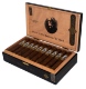 Buy Casdagli Basilica C#3 Petit Robusto Online: featuring a dark Ecuadorian Corojo this petite robusto features cocoa and chocolate notes with a balanced sweet Jalapa binder.