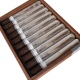 Buy Viaje New Beginnings  Online: 