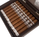 Buy Plasencia Alma del Campo Sendero Cigars Online: