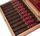 Somm Cigars BDX Robusto