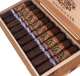 Buy Foundation The Wise Man Maduro Firecracker Online: 
