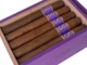 Buy Matilde Limited Exposure #2 Toro Online: 