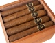 Buy 100 Fundadores Fat Winston: 