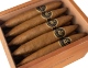 Buy 100 Fundadores Short Perfecto: 