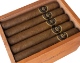 Buy 100 Fundadores Unicos: 