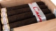 Buy Cain Maduro 660 by Oliva Online: