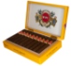 Buy HVC Selección No.1 Natural Short Robusto Online: