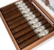 Buy West Tampa Tobacco Co White Gigante Online: