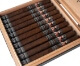 Buy Freud AlterEgo Lonsdale Online: