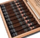 Buy Freud AlterEgo Robusto Online: