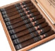 Buy Freud AlterEgo Toro Online: