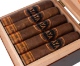 Buy Yaya Short Robusto: 