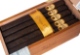 Buy Oliva Serie G Maduro Presidente Online: 