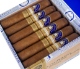 Buy Ferio Tego Metropolitan Connecticut Union Online
