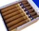 Buy Ferio Tego Metropolitan Connecticut Explorer Online