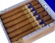 Buy Ferio Tego Metropolitan Connecticut University Online