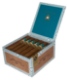 Buy Ferio Tego Metropolitan Host Hyde Online