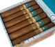 Buy Ferio Tego Metropolitan Host Hyde Online