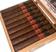 Buy Bandolero Colosales Cigar Online	