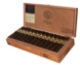 Buy Padron 1964 Hermoso Maduro at Small Batch Cigar