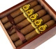 Buy Felipe Gregorio Refusion F5 Online at Small Batch Cigar