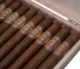 HSC Hugo by Warped Cigars for Small Batch Cigar
