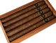 Buy 100 Fundadores Prominente: 