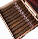 Buy Adventura Barbarroja’s Invasion Toro Online