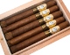 La Palina Family Series Pasha
