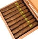 Buy Felipe Gregorio Pelo de Oro Robusto: A truly satisfying combination of almond, sea salt and butterscotch deliver a sweet and salty sensation, The Ancestral Cuban Seed tobacco used in it its blend brings back the aromas of Cuban cigars of years past.