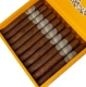 Buy Lost and Found Cream Machine Corona Extra Online: