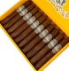 Buy Lost and Found Cream Machine Robusto Online:
