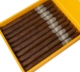 Buy Lost and Found Cream Machine Lancero Online: