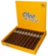 Buy Lost and Found Cream Machine Toro Online: