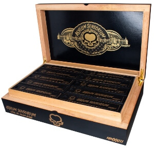 Buy Asylum Sensorium 6x60 Online: