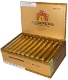 Buy Macanudo Gold Label Hampton Court Online:
